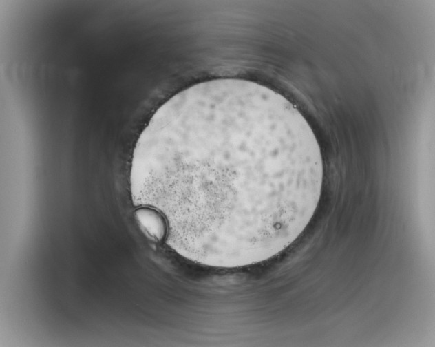 X0000116390307200912021011
