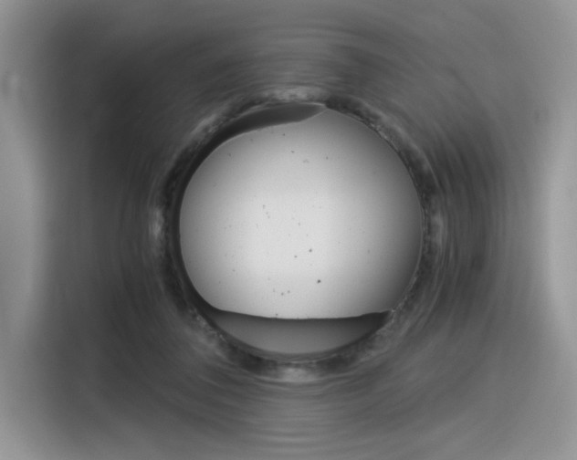 X0000116390308200912021011