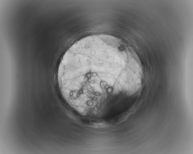 X0000116390309200912021011