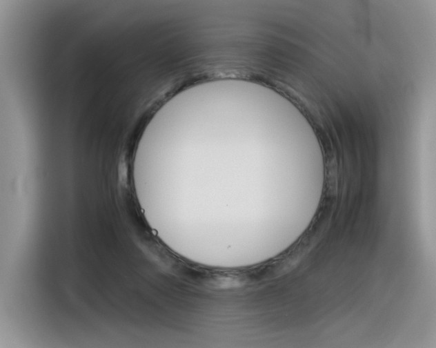 X0000116390310200912021011