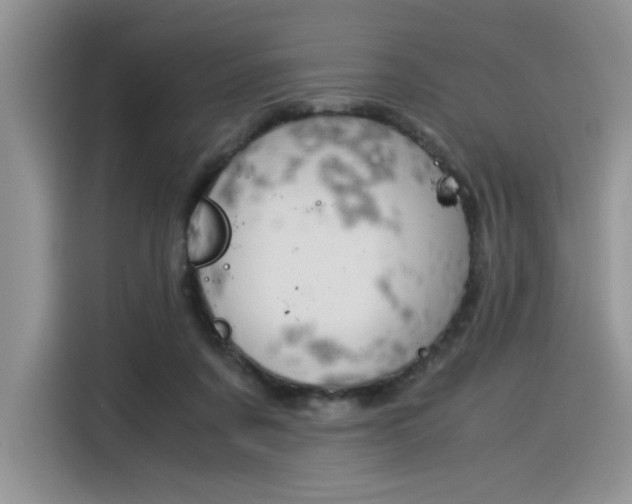 X0000116390311200912021011
