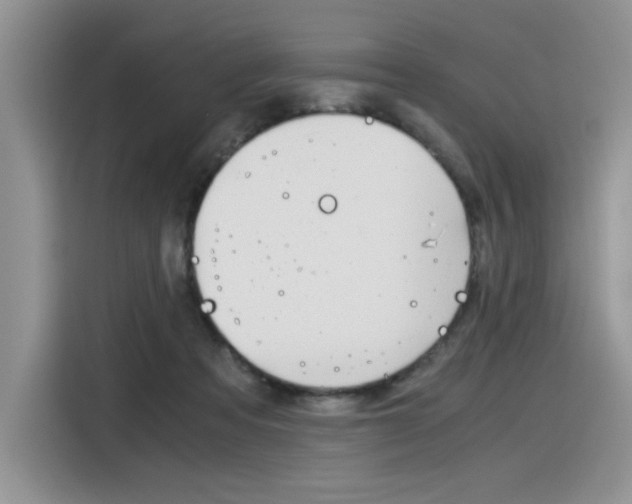 X0000116390313200912021011