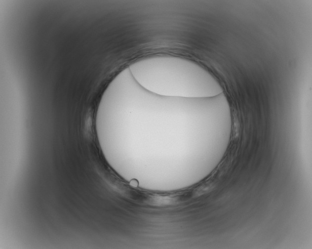 X0000116390314200912021011