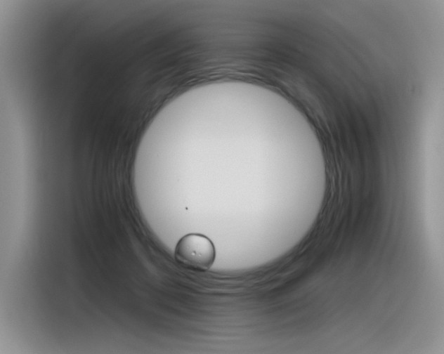 X0000116390316200912021011