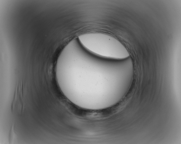 X0000116390319200912021011