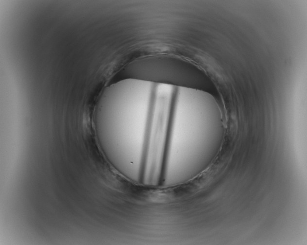 X0000116390320200912021011