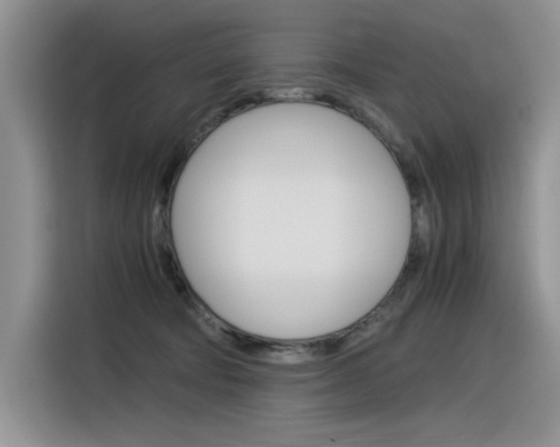 X0000116390322200912021011