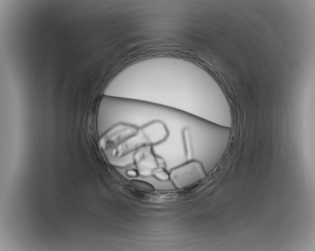 X0000116390323200912021011