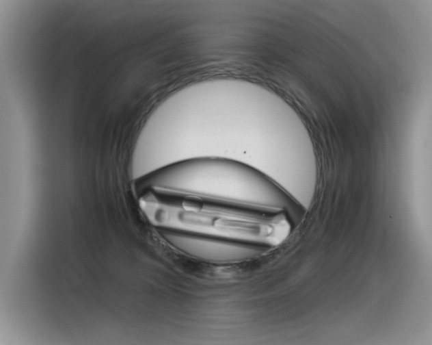 X0000116390324200912021011