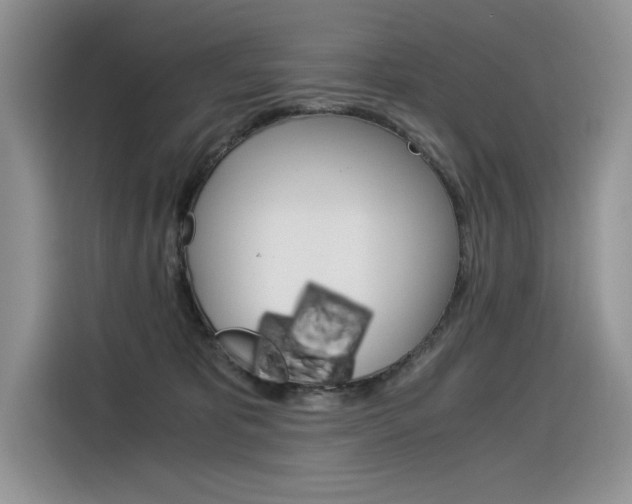 X0000116390325200912021011