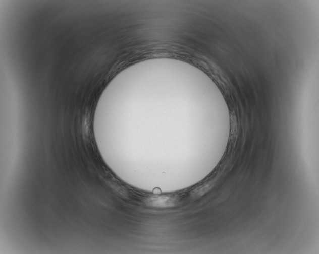 X0000116390326200912021011