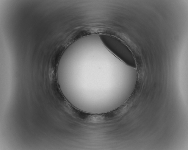 X0000116390327200912021011