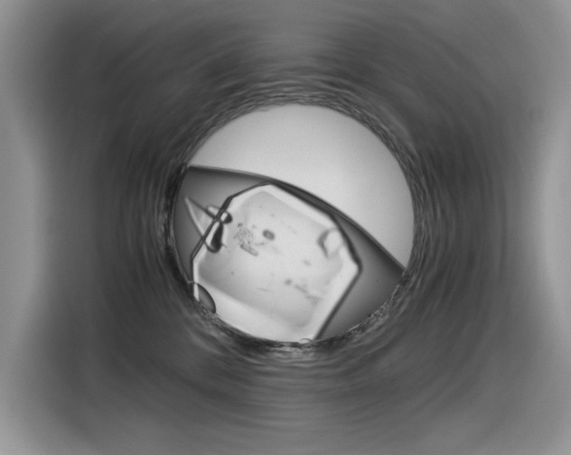 X0000116390328200912021011