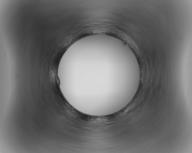 X0000116390329200912021011
