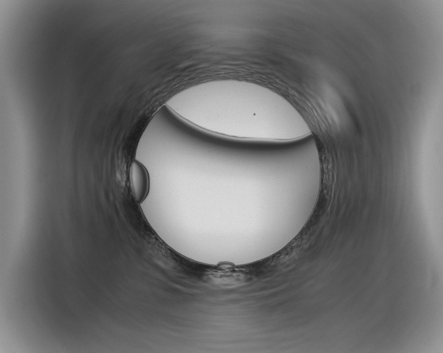 X0000116390331200912021011