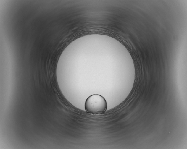 X0000116390332200912021011