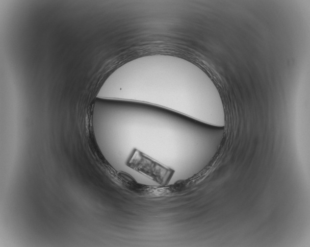 X0000116390333200912021011