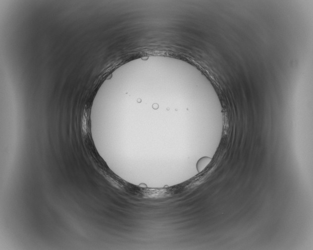 X0000116390334200912021011