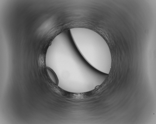 X0000116390335200912021011