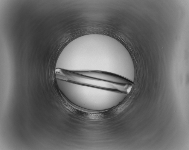 X0000116390336200912021011