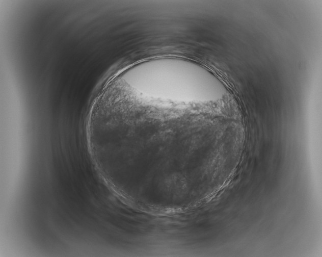 X0000116390339200912021010
