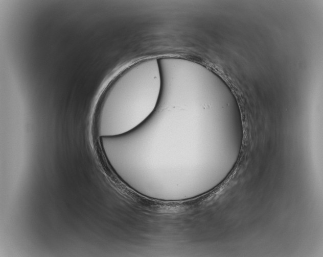 X0000116390342200912021010