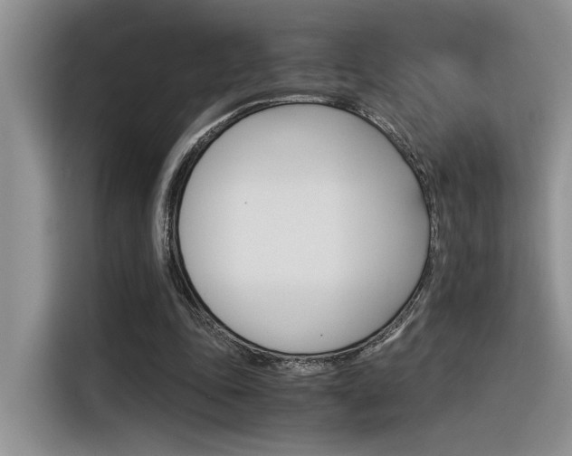 X0000116390343200912021010