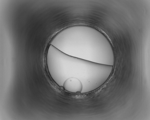 X0000116390345200912021010