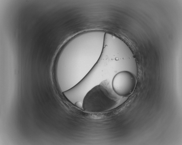 X0000116390346200912021010