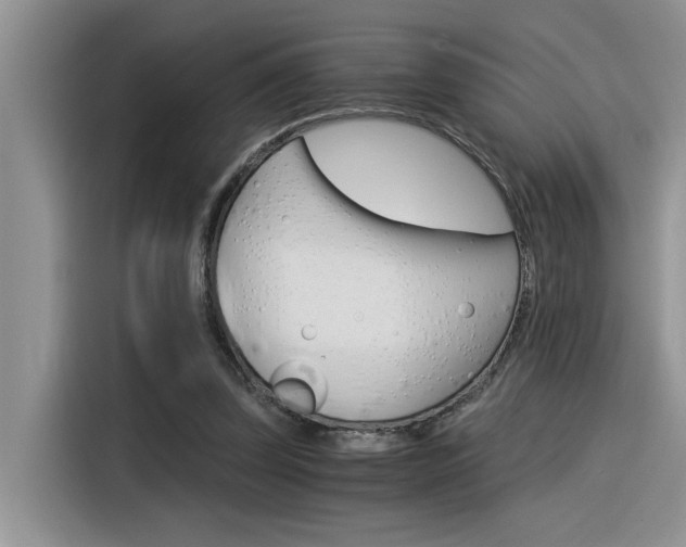 X0000116390347200912021010