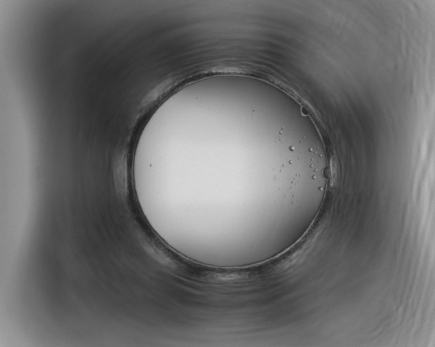 X0000116390349200912021010