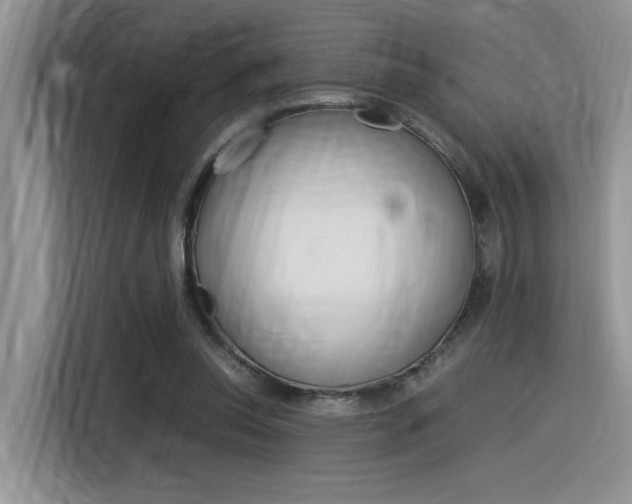 X0000116390350200912021010