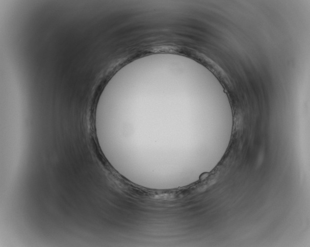 X0000116390353200912021010