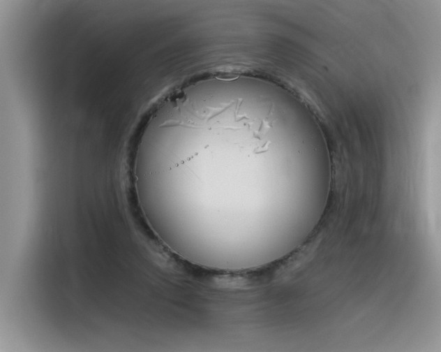 X0000116390354200912021010