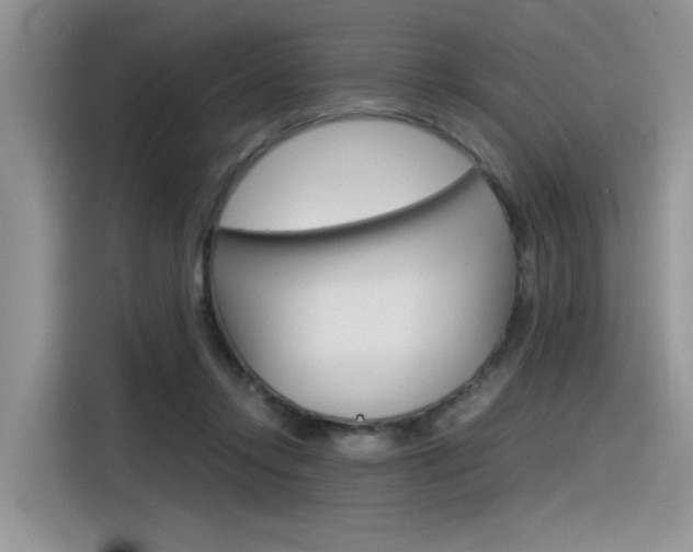 X0000116390358200912021010