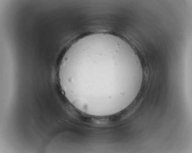 X0000116390359200912021010