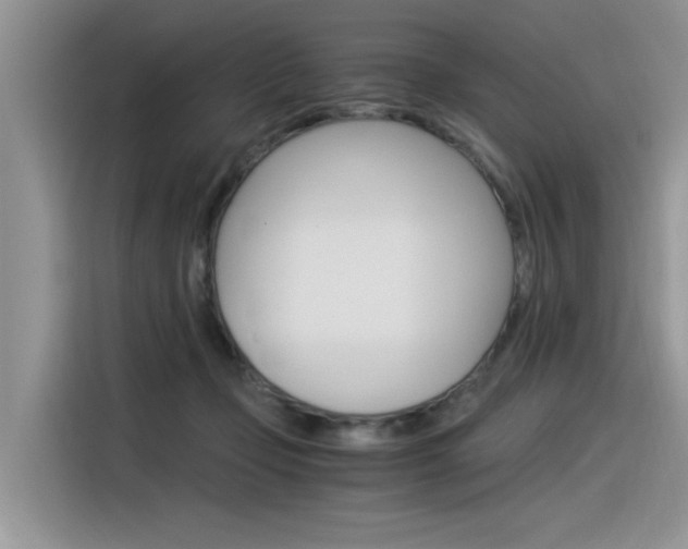 X0000116390365200912021011