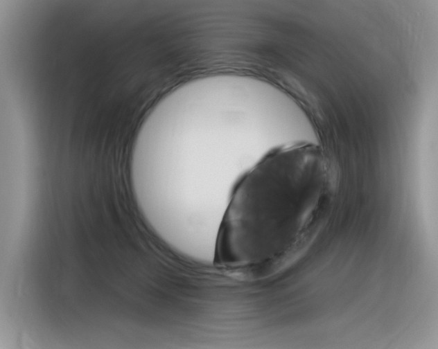 X0000116390366200912021011