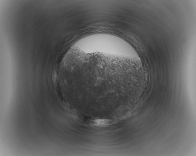 X0000116390371200912021011