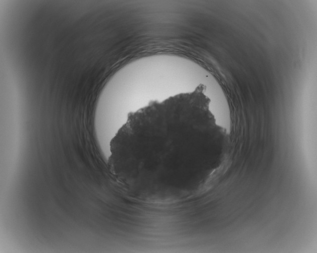 X0000116390374200912021011