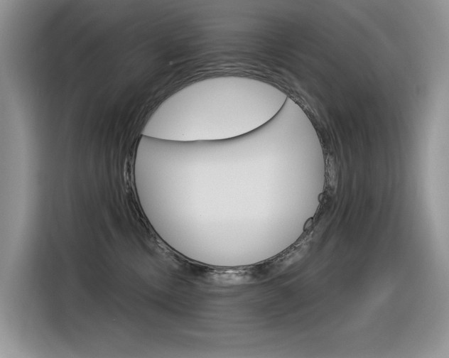 X0000116390378200912021011