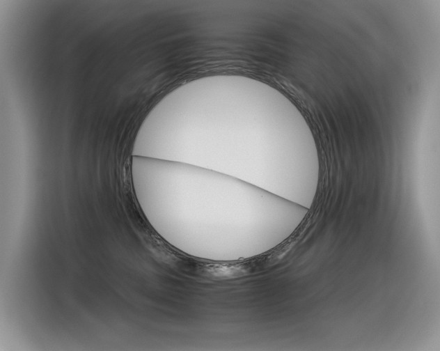 X0000116390379200912021011