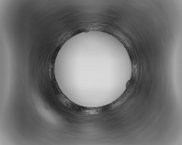 X0000116390381200912021011