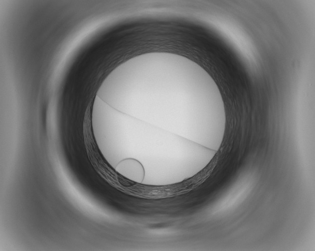 X0000116390383200912021011