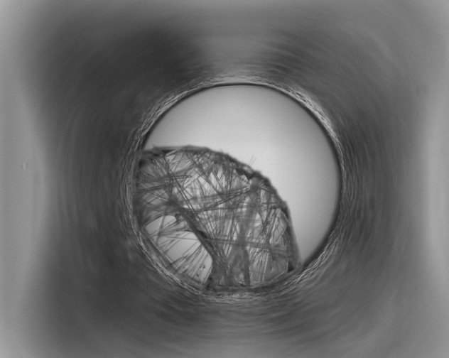 X0000116390385200912021010