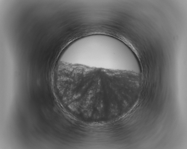 X0000116390386200912021010