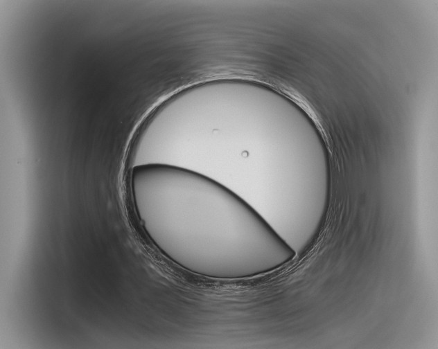X0000116390387200912021010