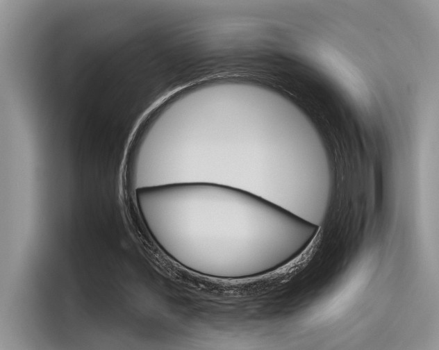 X0000116390388200912021010