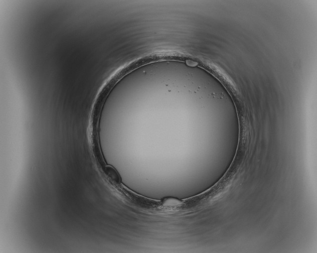 X0000116390391200912021010