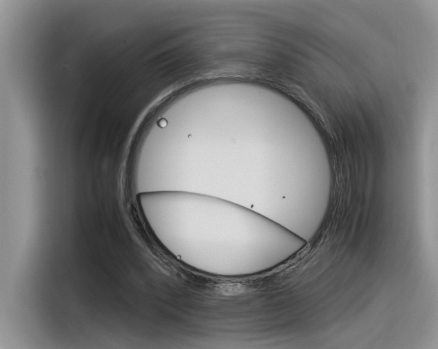 X0000116390392200912021010